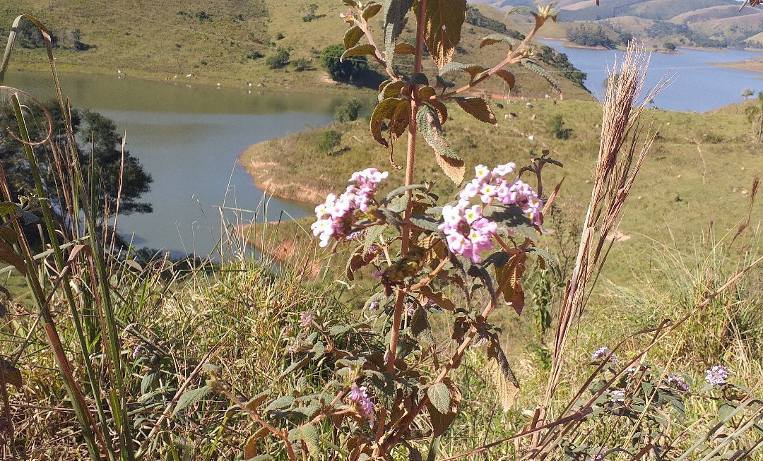 Represa de Paraibuna景点图片