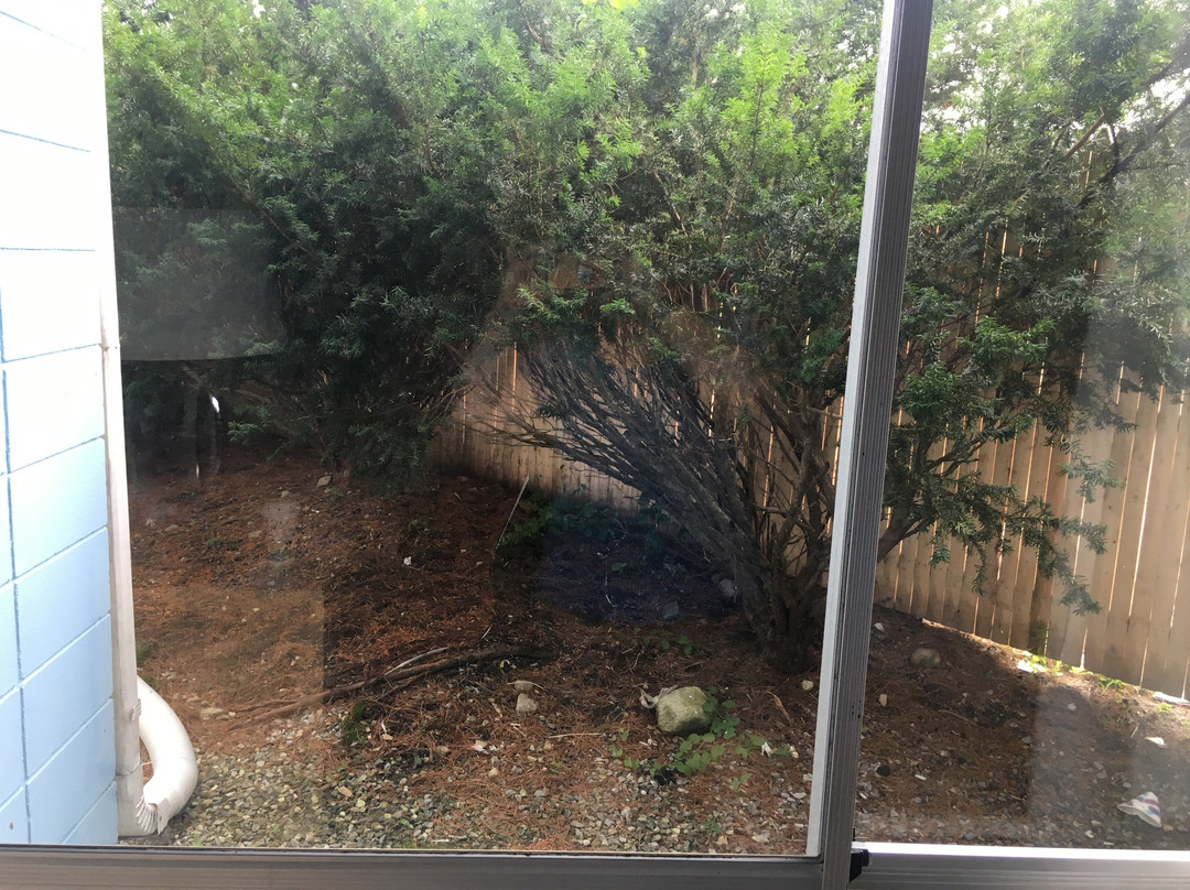 Howard Johnson by Wyndham Mystic主图