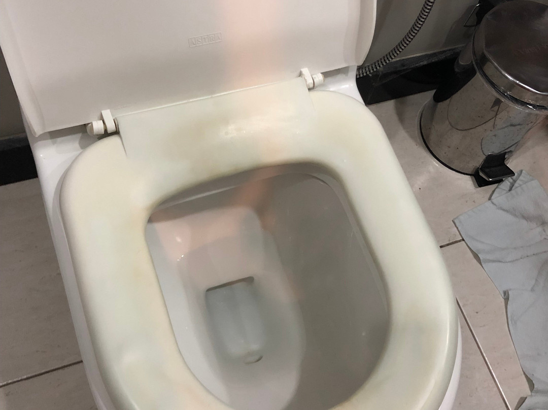 Premier Parc Hotel主图