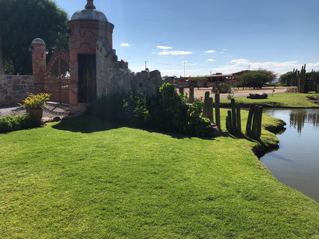 Viñedos Azteca景点图片
