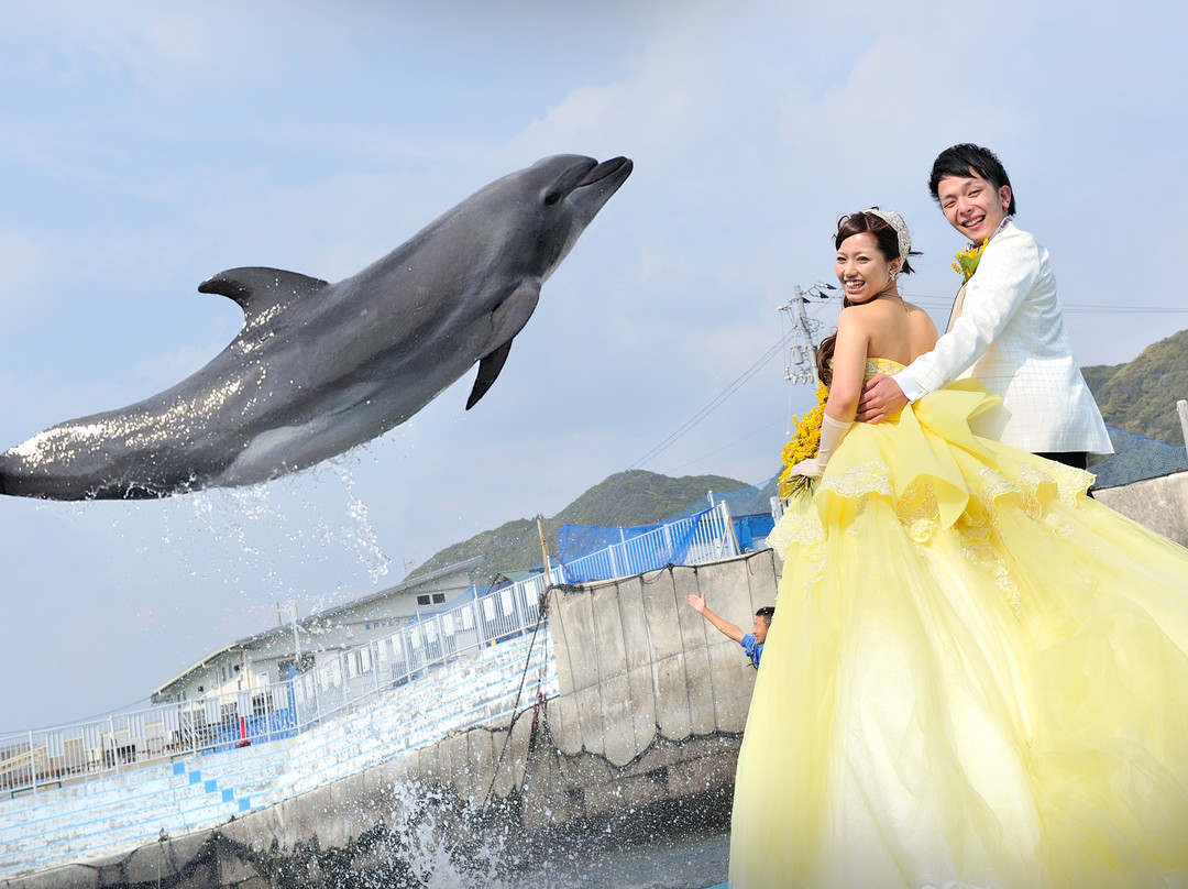 Muroto Dolphins Center-室户市必去景点