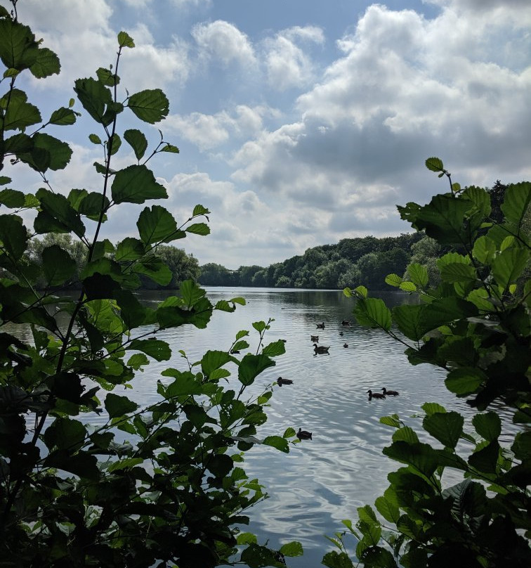 Plantsbrook Community Nature Park-伯明翰必去景点