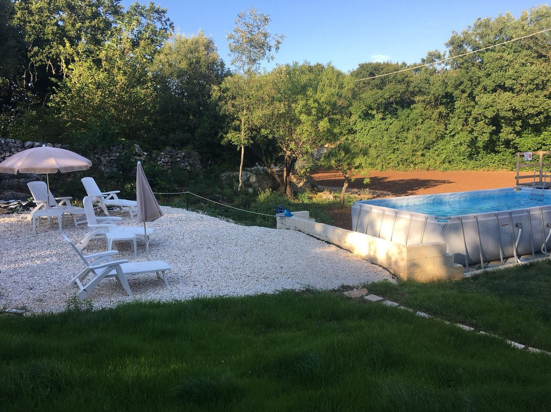 维格纳公园酒店主图