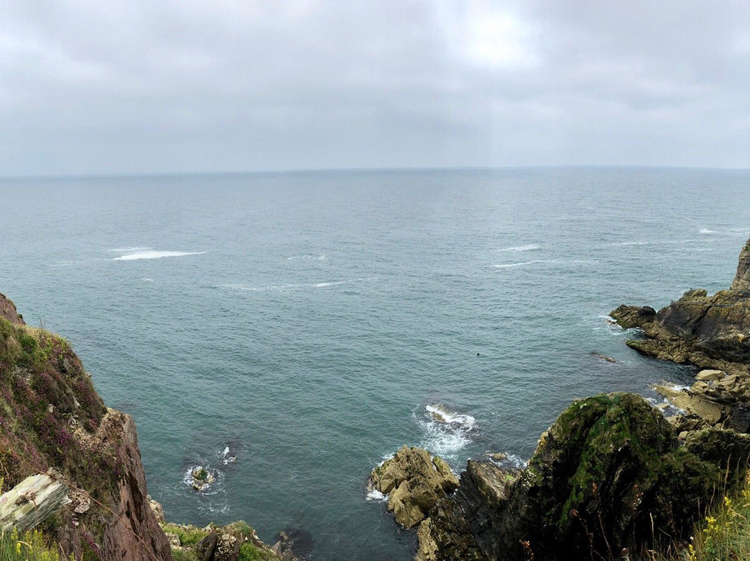 Ardmore Round Tower And Cathedral-Ardmore必去景点