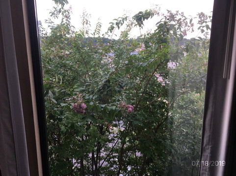 Holiday Inn Express & Suites Sanford by IHG主图