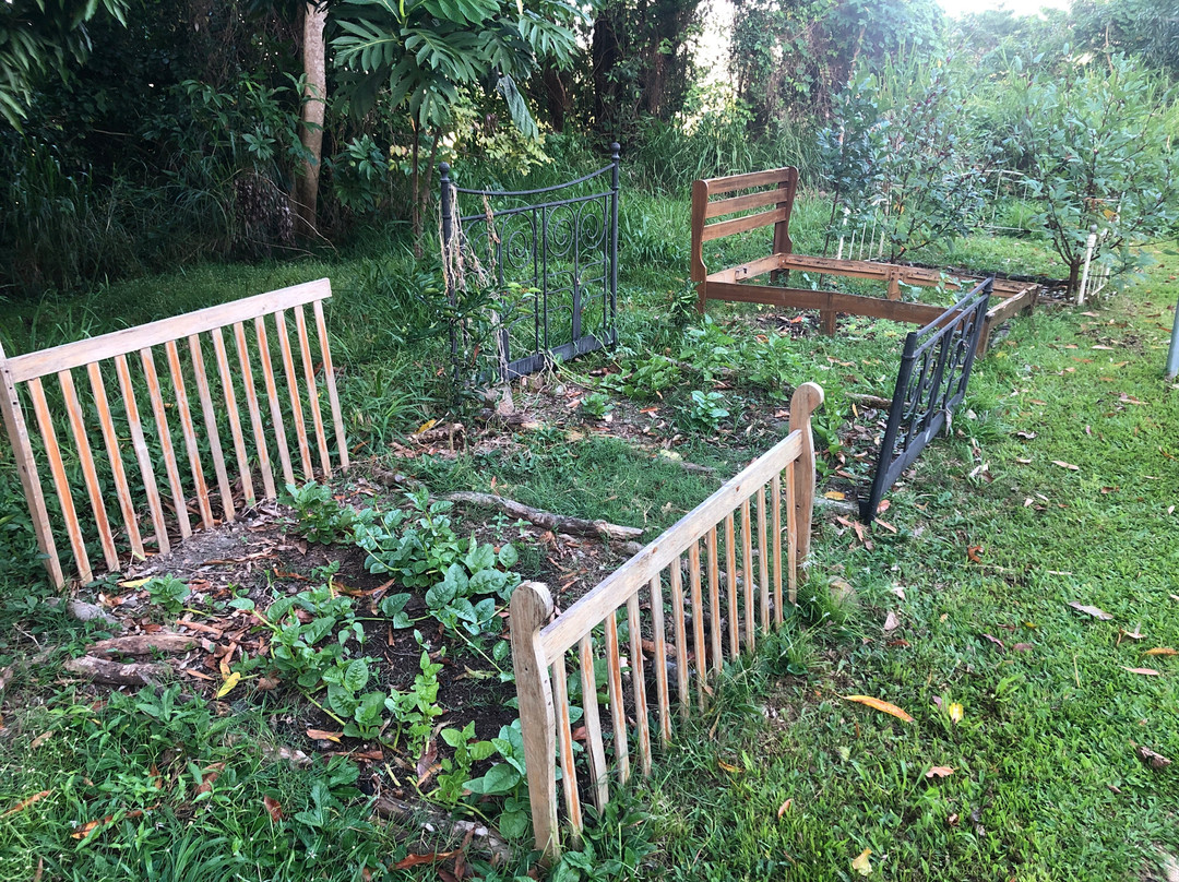 La Casa de Vida Natural