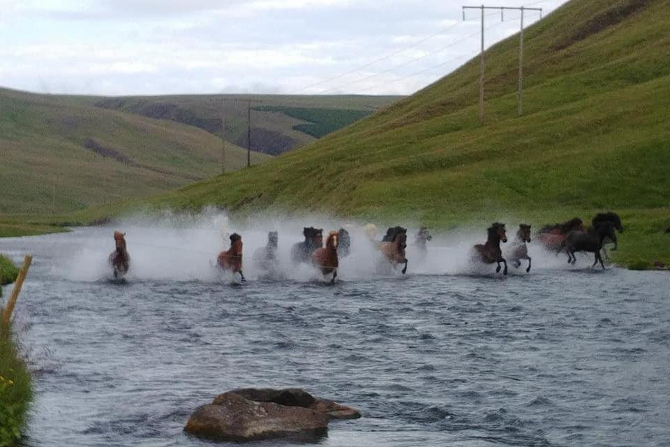 Topphestar-Saudarkrokur必去景点