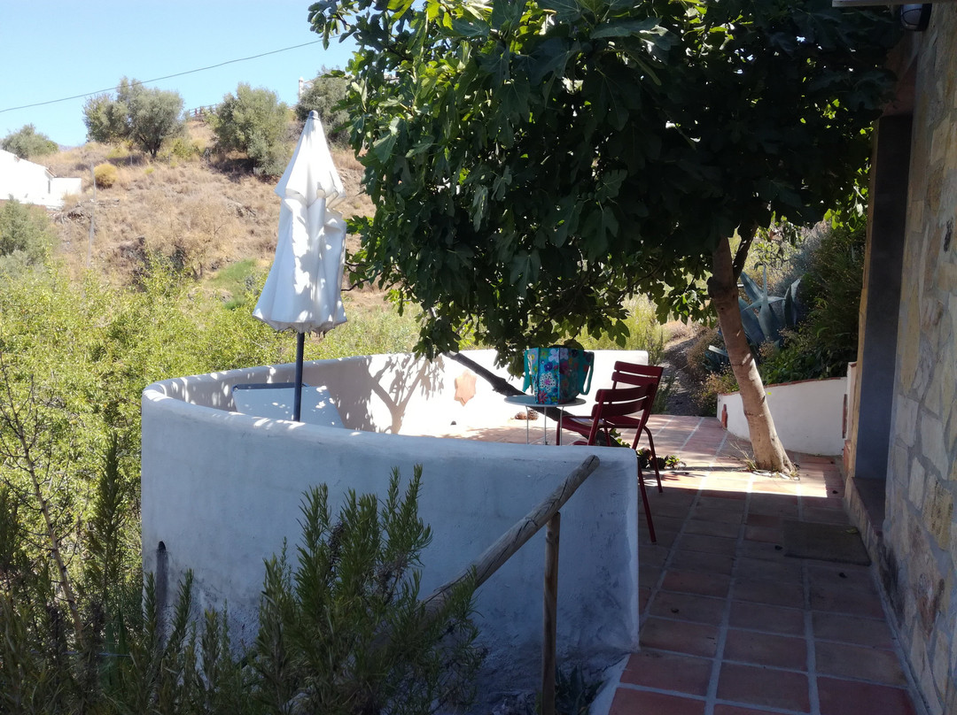 El Nispero Dulce主图