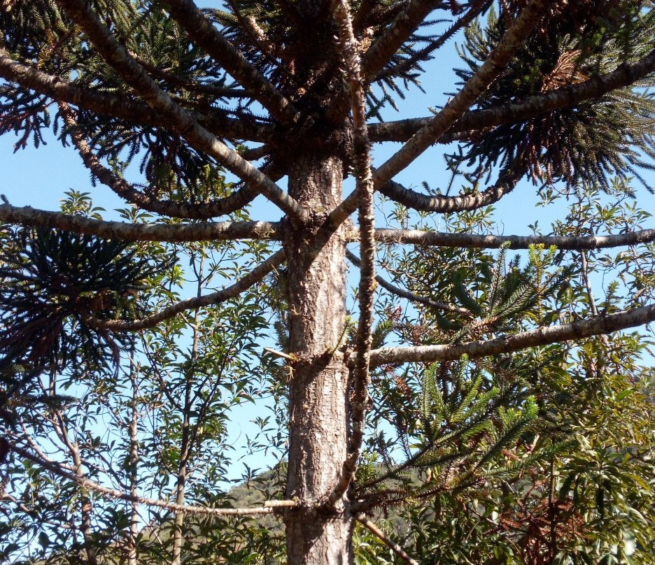 Mundão das Trilhas-Amparo必去景点