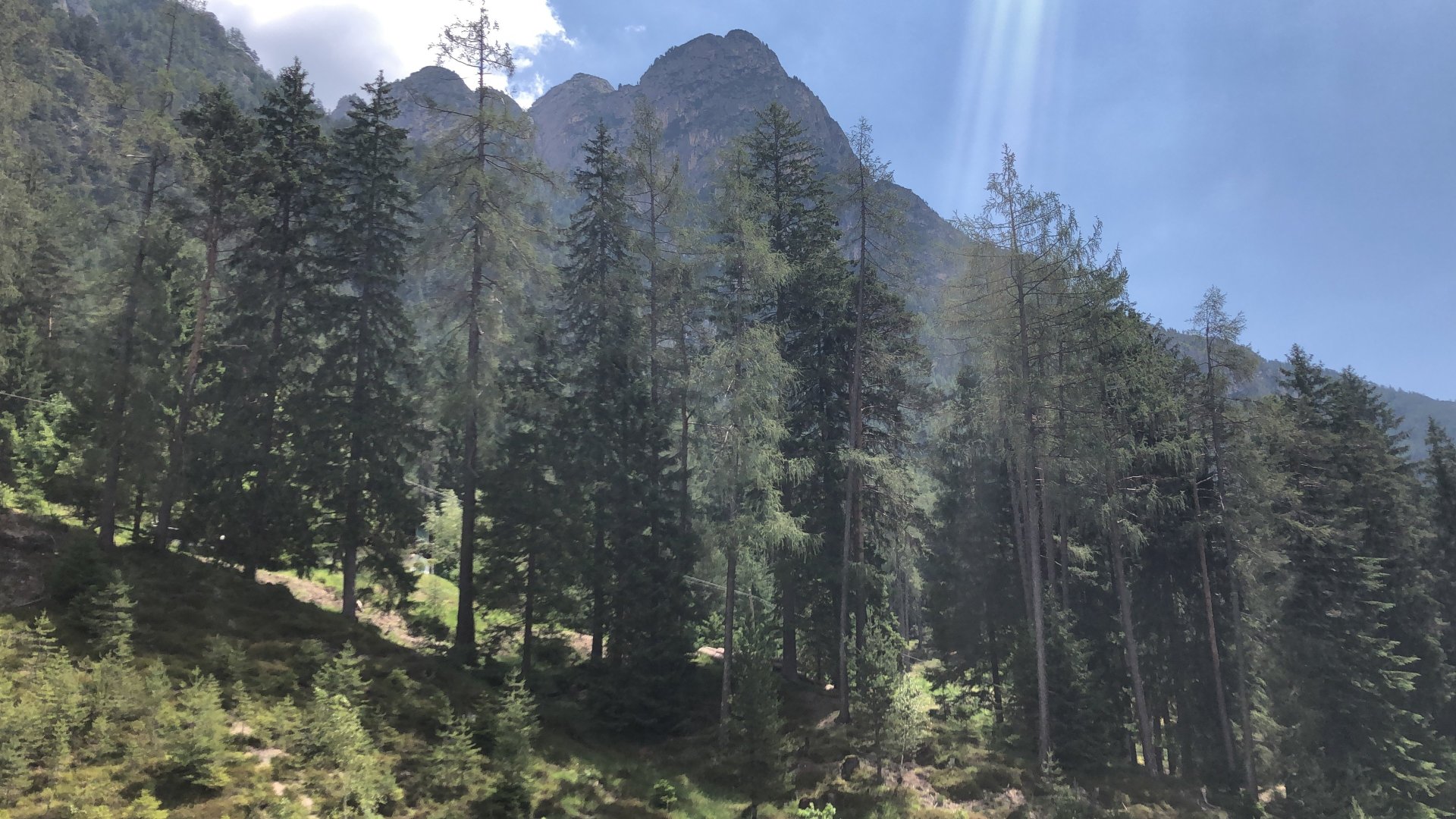 Hotel Erica-酒店景观