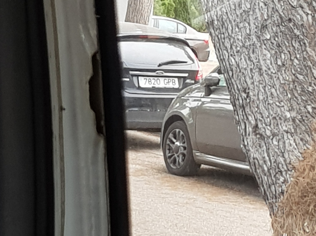 Abc Transfers-马洛卡帕尔马必去景点