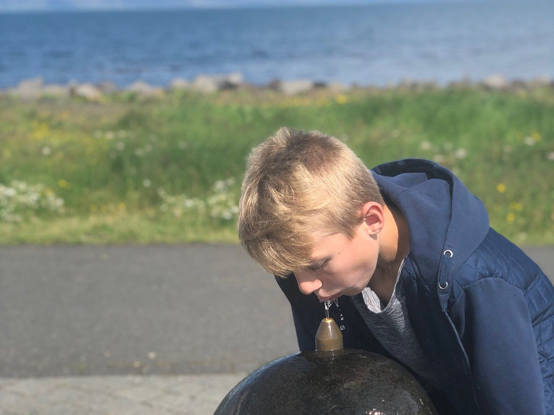 Seltjarnarnes Peninsula Jogging Path-Seltjarnarnes必去景点