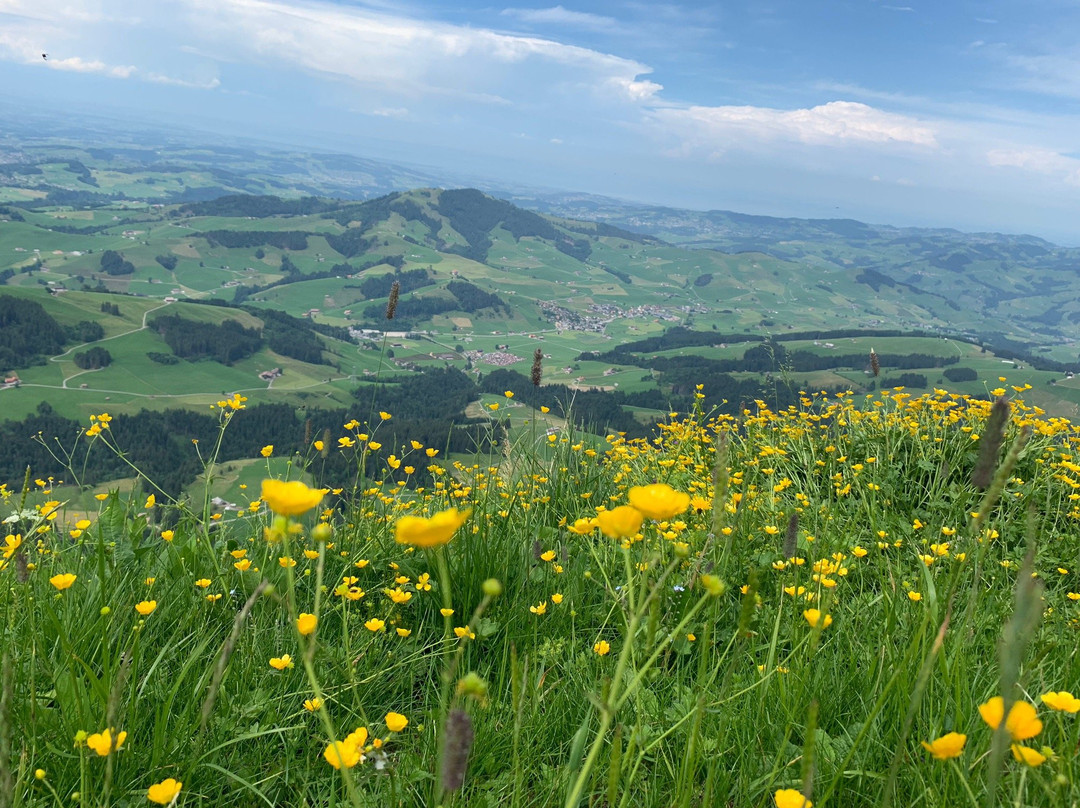 Appenzell旅游攻略图片