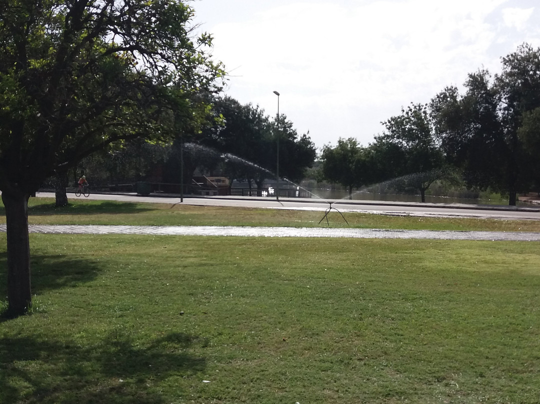 Parque del Alamillo景点图片