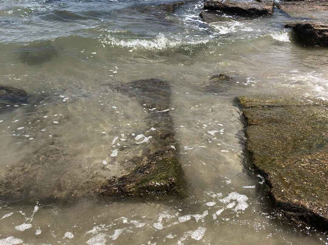 Mustang Island State Park景点图片