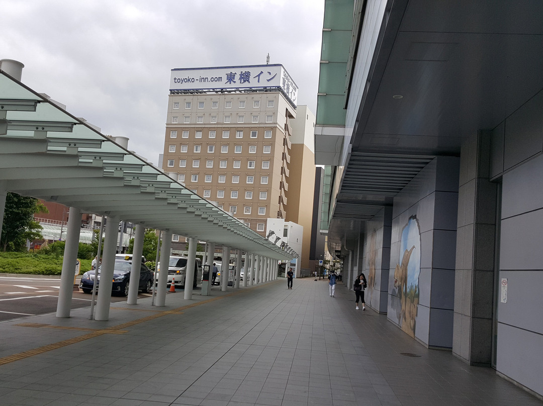 Toyoko Inn Fukui Ekimae主图