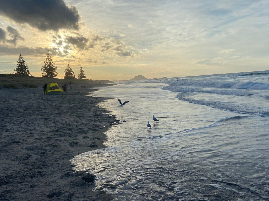 Papamoa Beachgrove Holiday Park