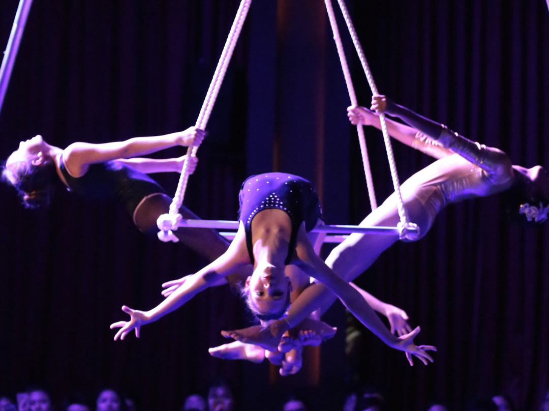 Mid Air Circus Arts’ Flying Trapeze & Circus Arts Academy景点图片