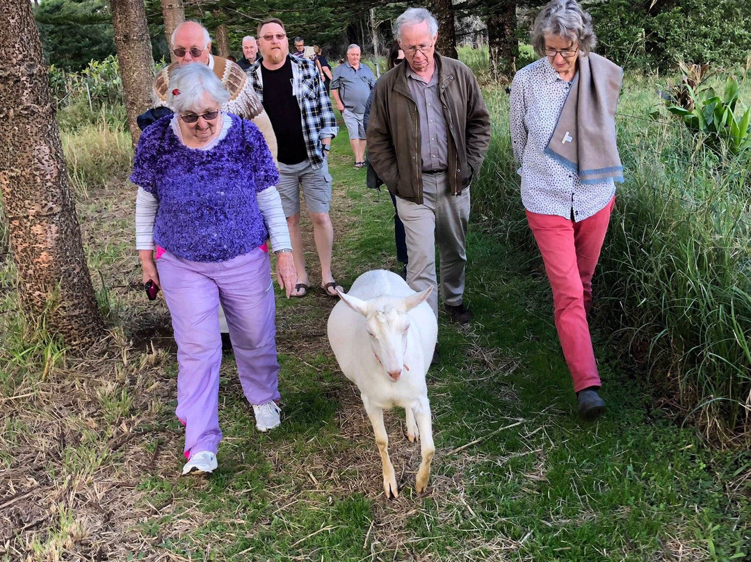 The Hilli Goat景点图片
