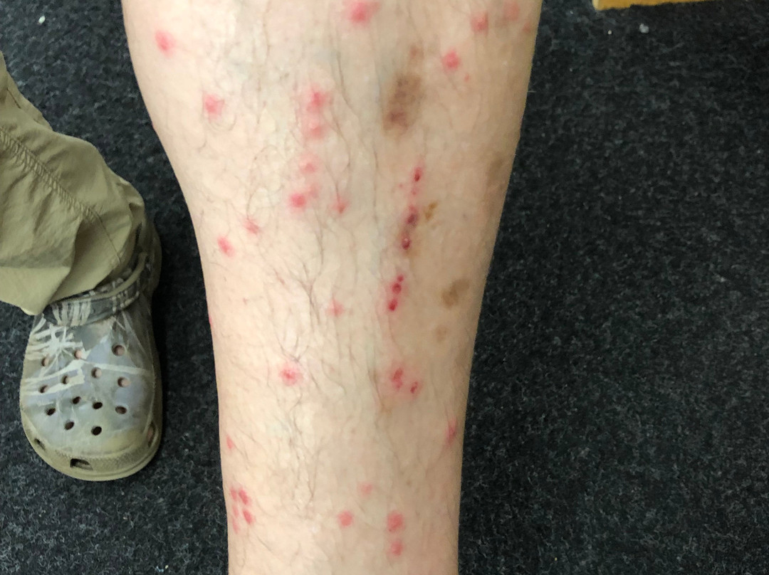 Fairfield Inn Dothan主图