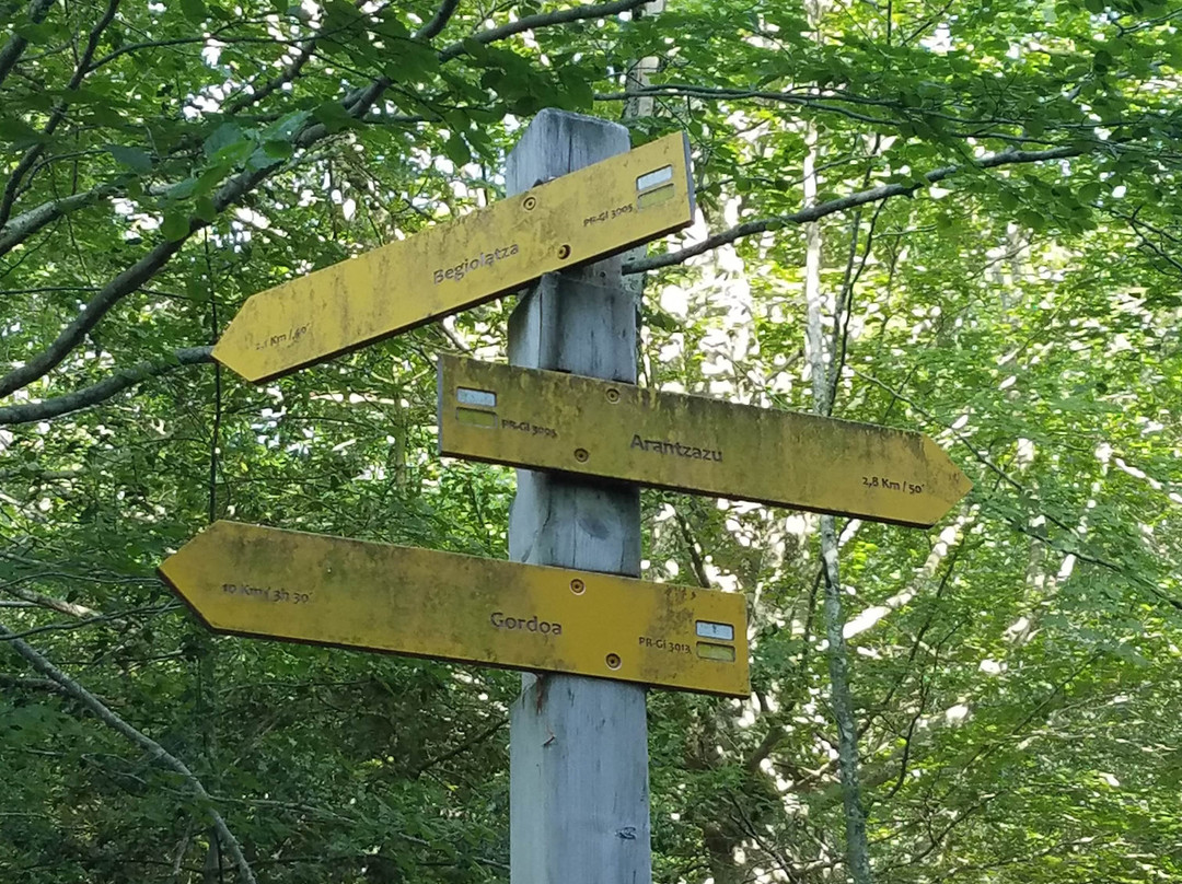 Borda Aranzazu主图