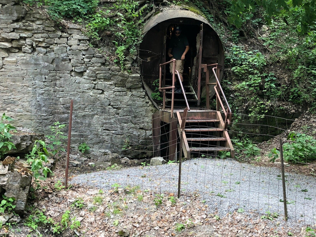 Lockport Cave and Underground Boat Ride景点图片