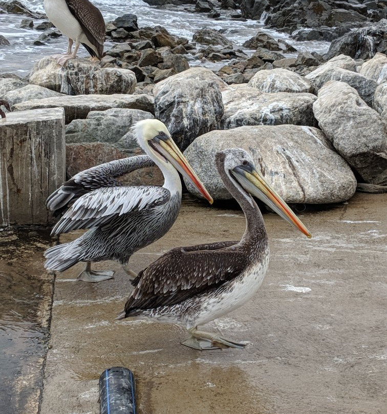 Cactus Explora-Caldera必去景点