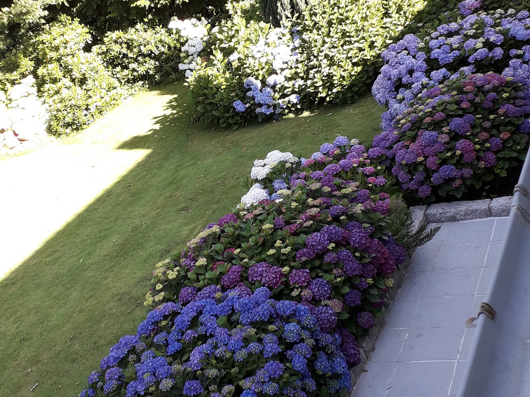 La Villa les Hortensias主图