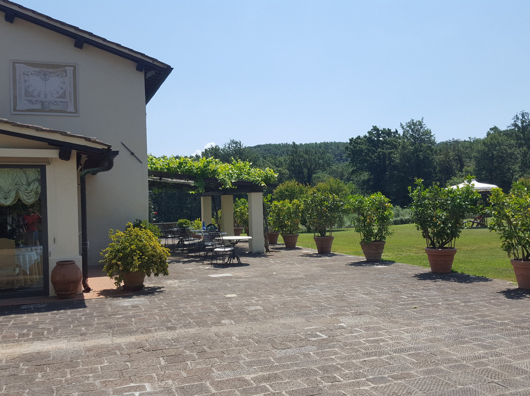 Tenuta Le Viste主图