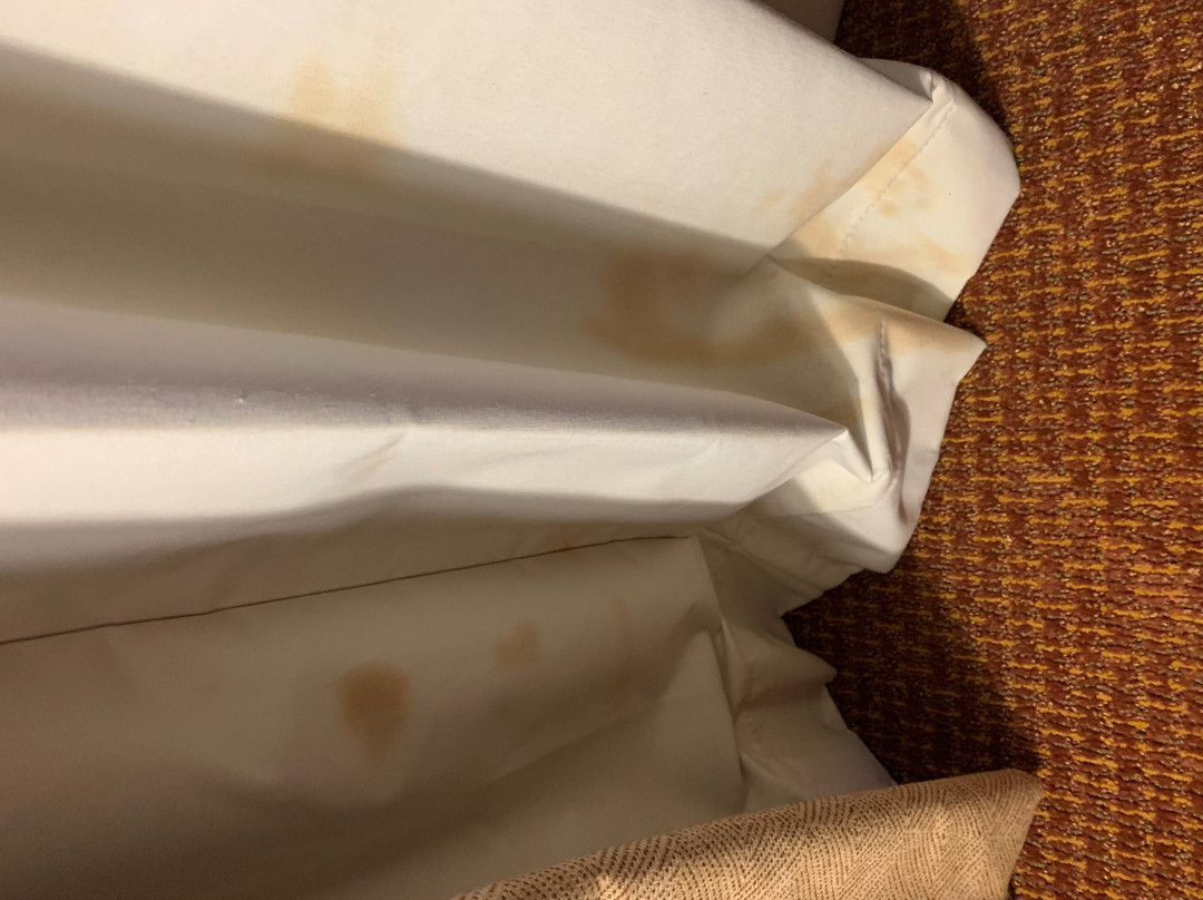 百汇国际酒店主图