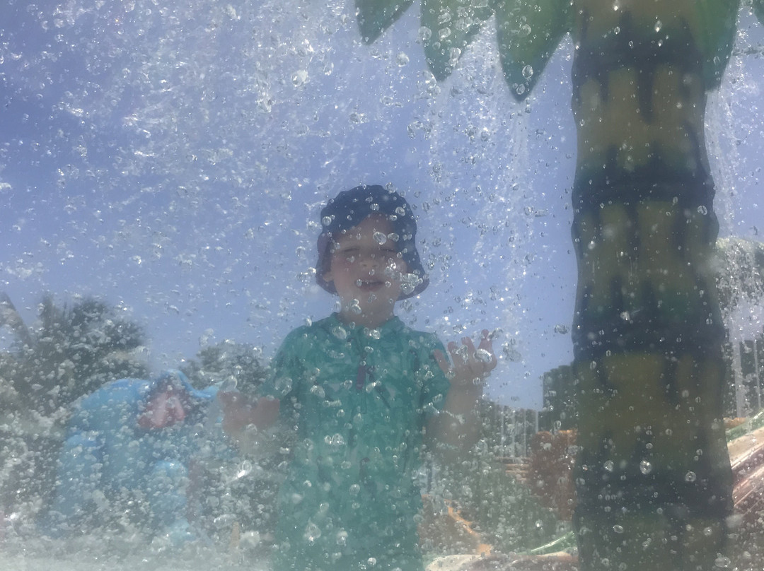 巴希亚普林西比科巴酒店主图