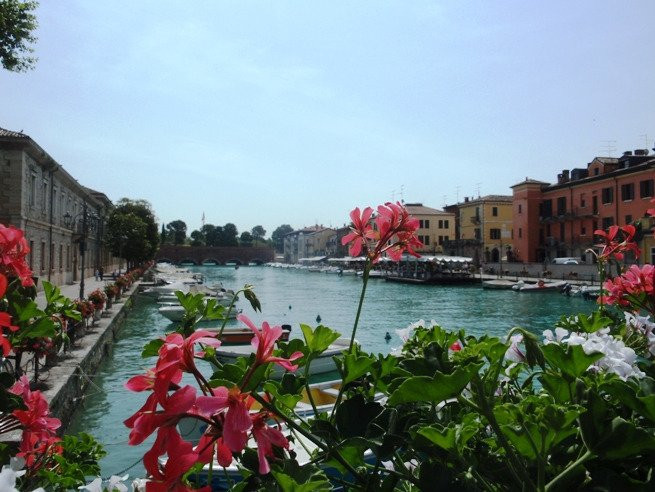 Ponte di Viale Cordigero景点图片