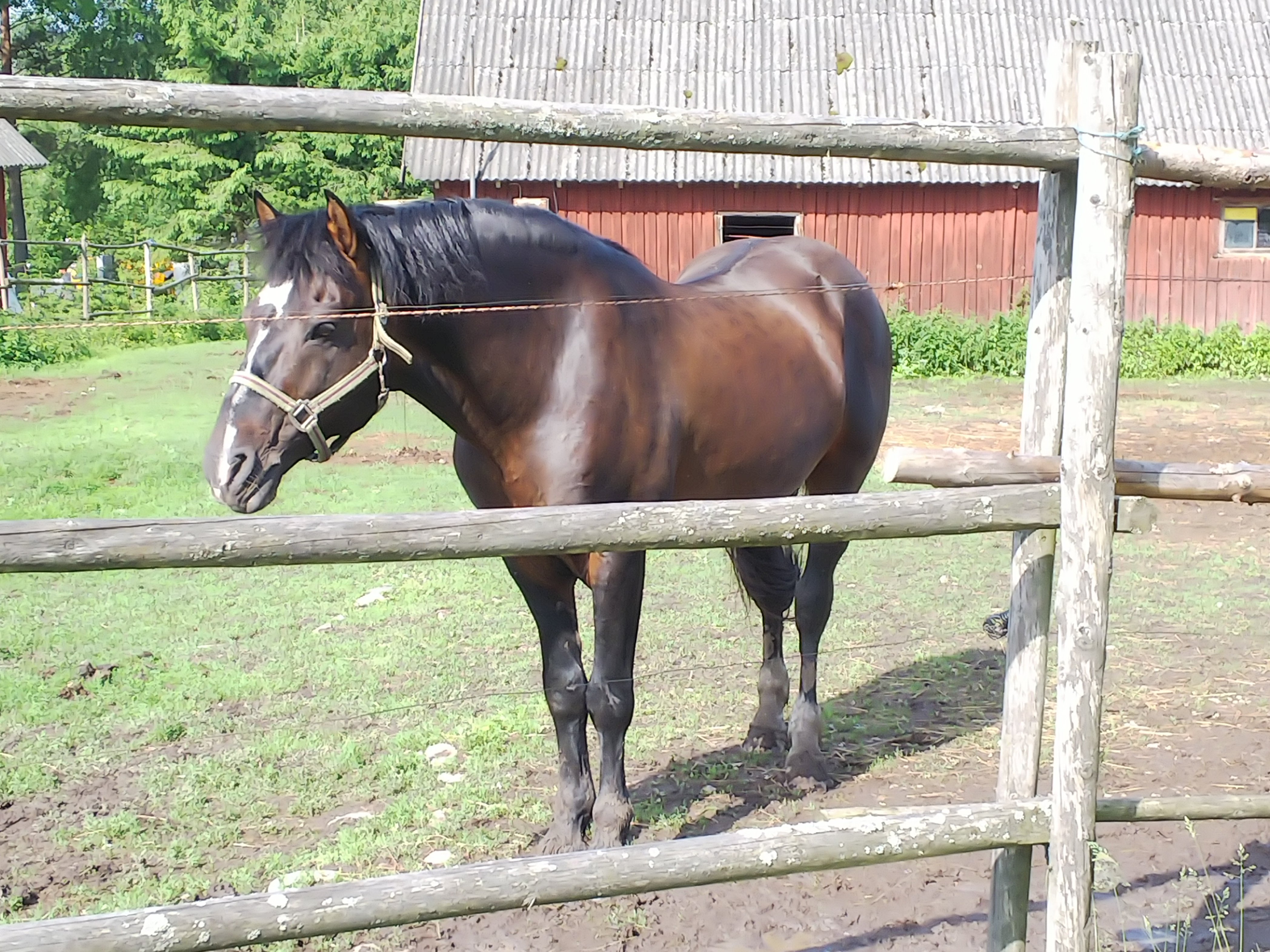 Klaara-Manni Puhkemaja-官方