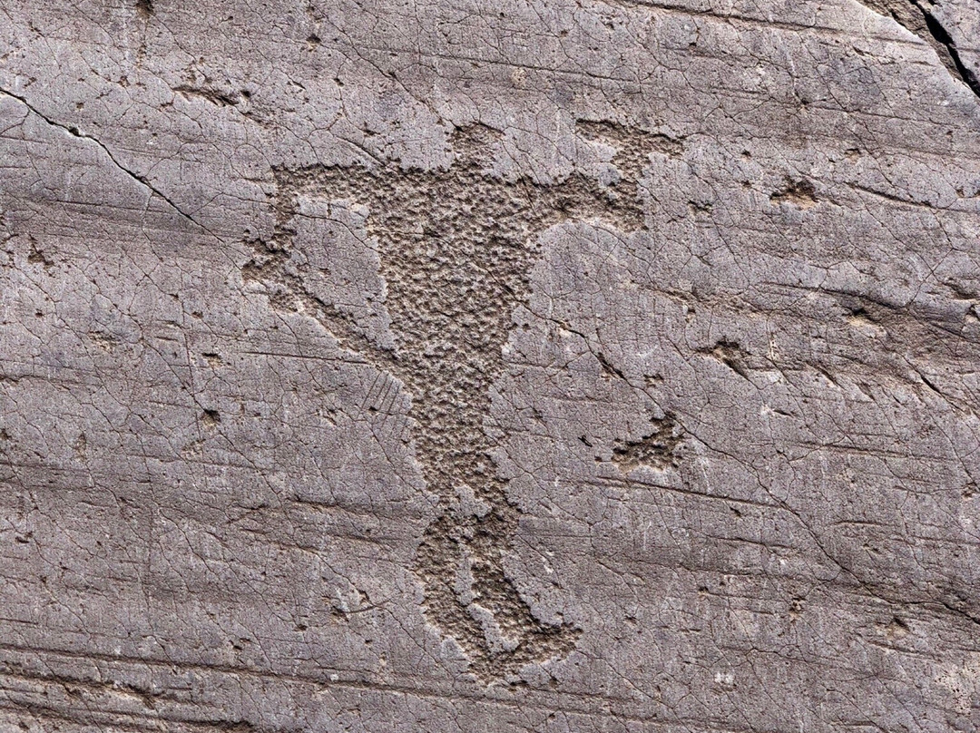 梵尔卡莫尼卡谷地岩画景点图片