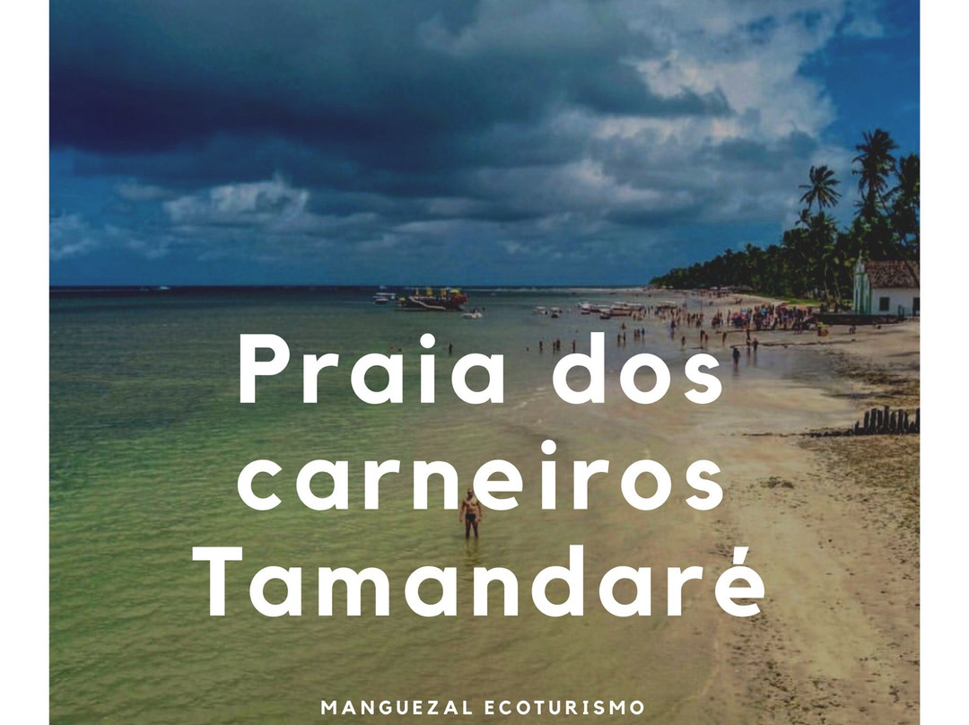 Manguezal Ecoturismo-Tamandare必去景点