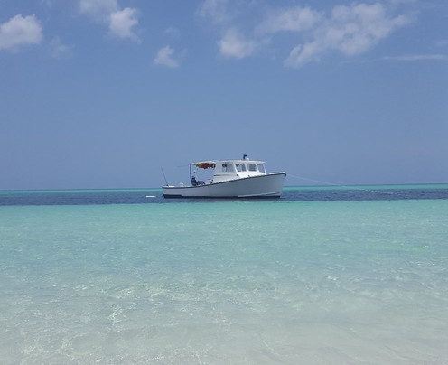 Power Boat Beach Party-弗里波特必去景点