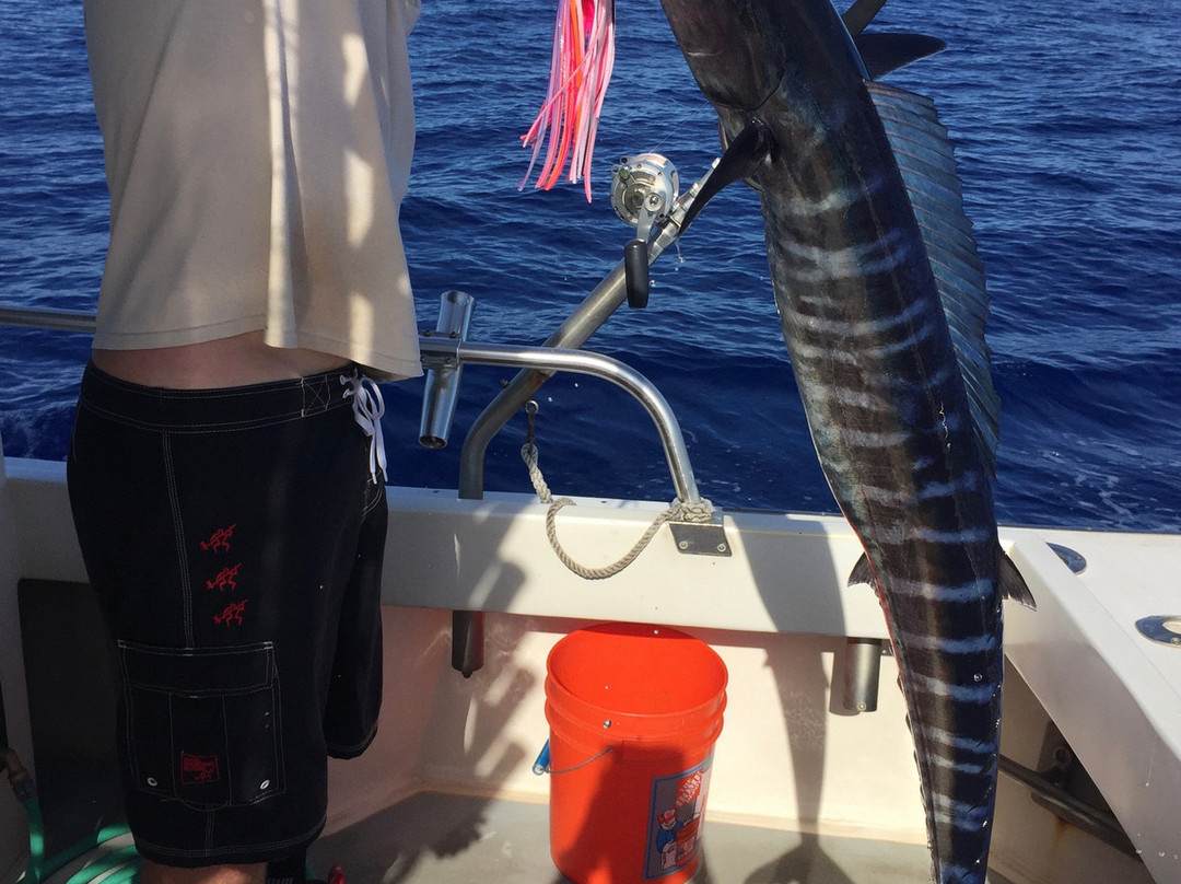 Maui Fun Charters-玛阿拉也亚必去景点