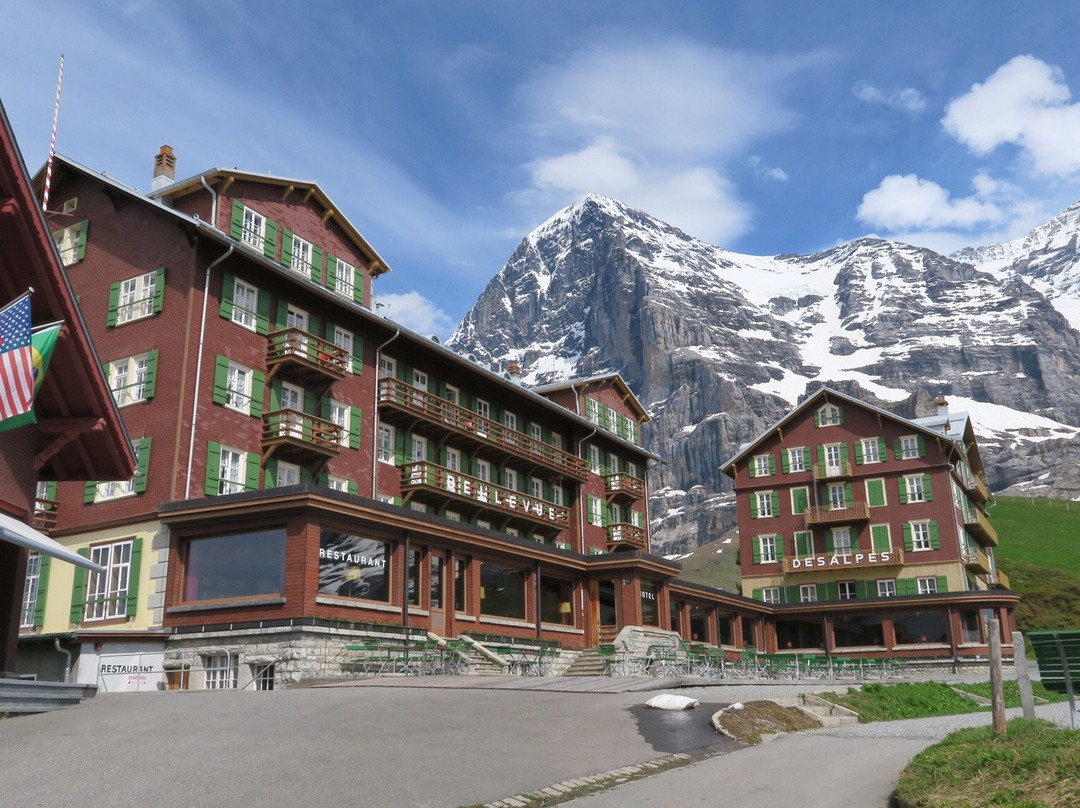 Hotel Bellevue des Alpes主图