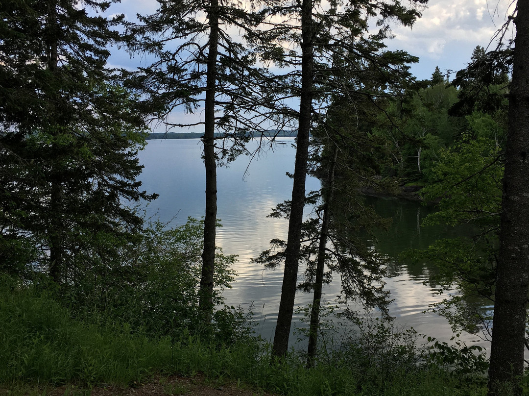 Cobscook Bay State Park景点图片