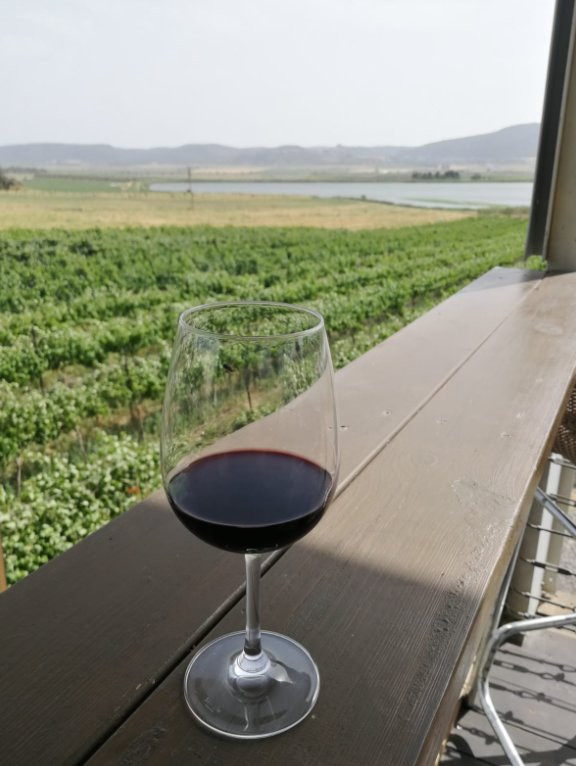 Sadot Winery-Sde Ya'akov必去景点