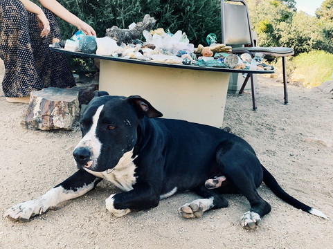 Boulder Gardens Sanctuary