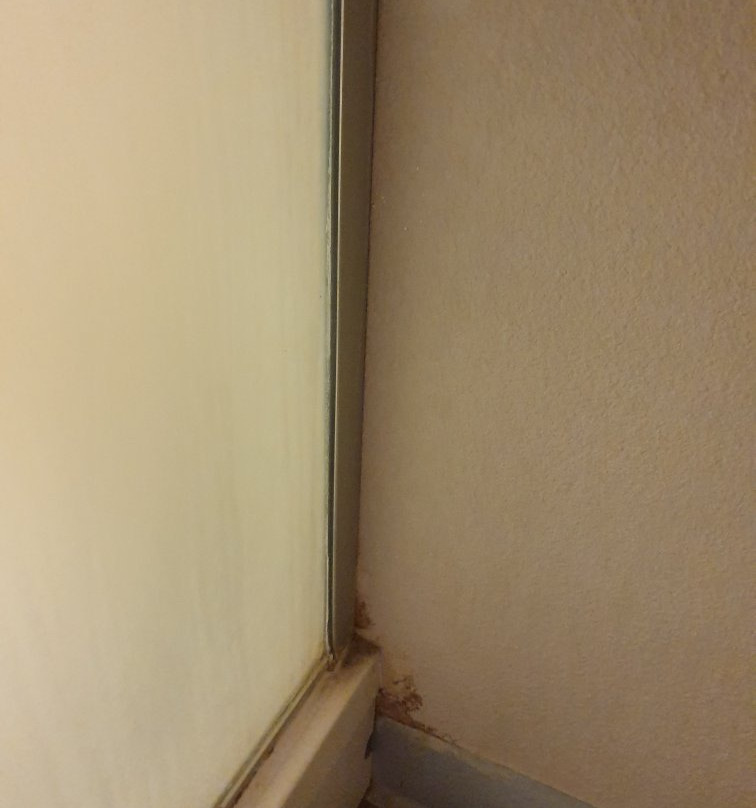 B&B HOTEL Montpellier Centre Le Millénaire主图