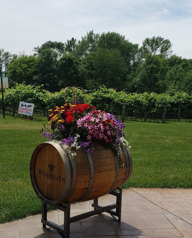 WineHaven Winery and Vineyard-Chisago City必去景点