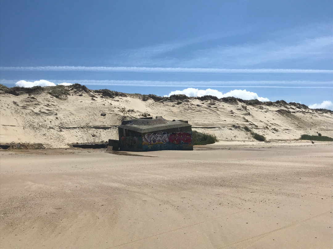 Plage du Pin Sec-Naujac-sur-Mer必去景点