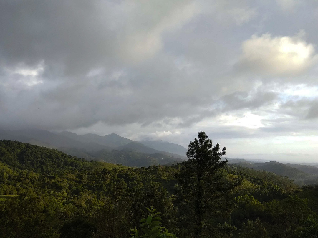 Rain Country Resorts主图