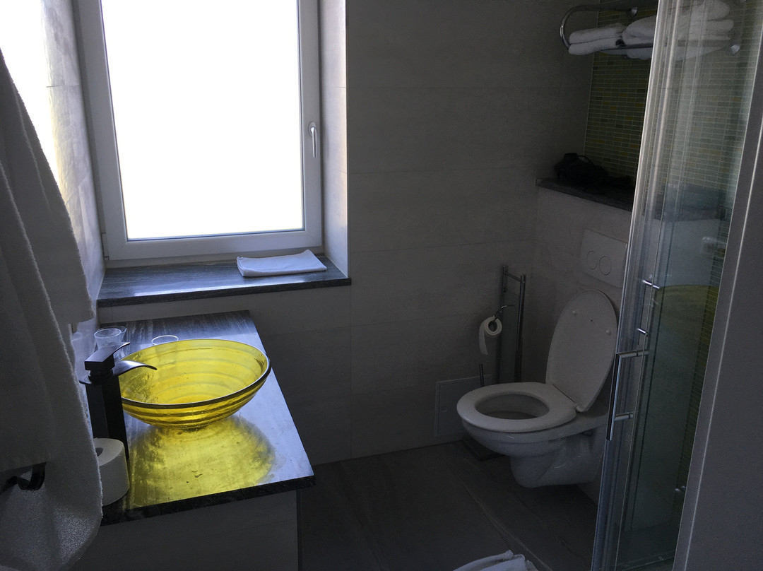 Wels Inn Hotel主图