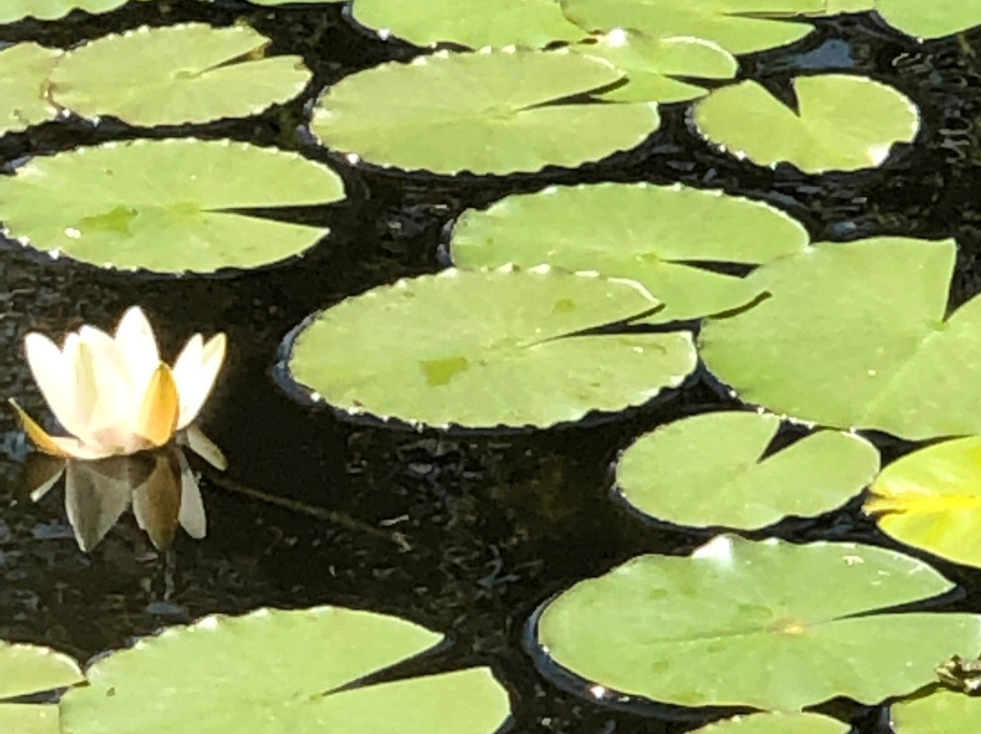 Furst Jaromar Hotel Resort & Spa主图