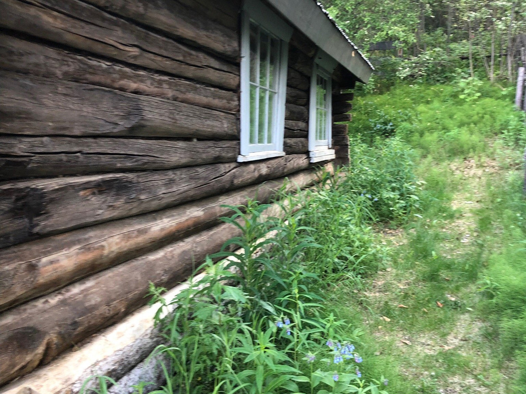 Robert Service Cabin-道森市必去景点