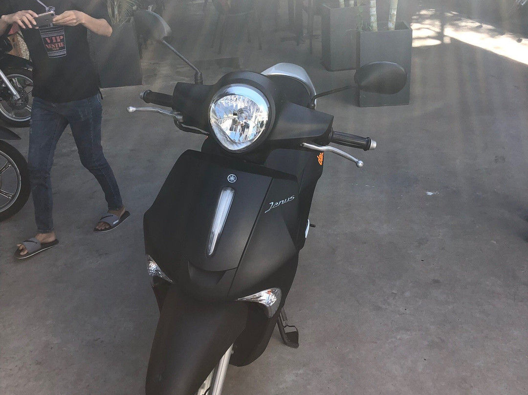 Da Nang Bikes-Son Tra Peninsula必去景点