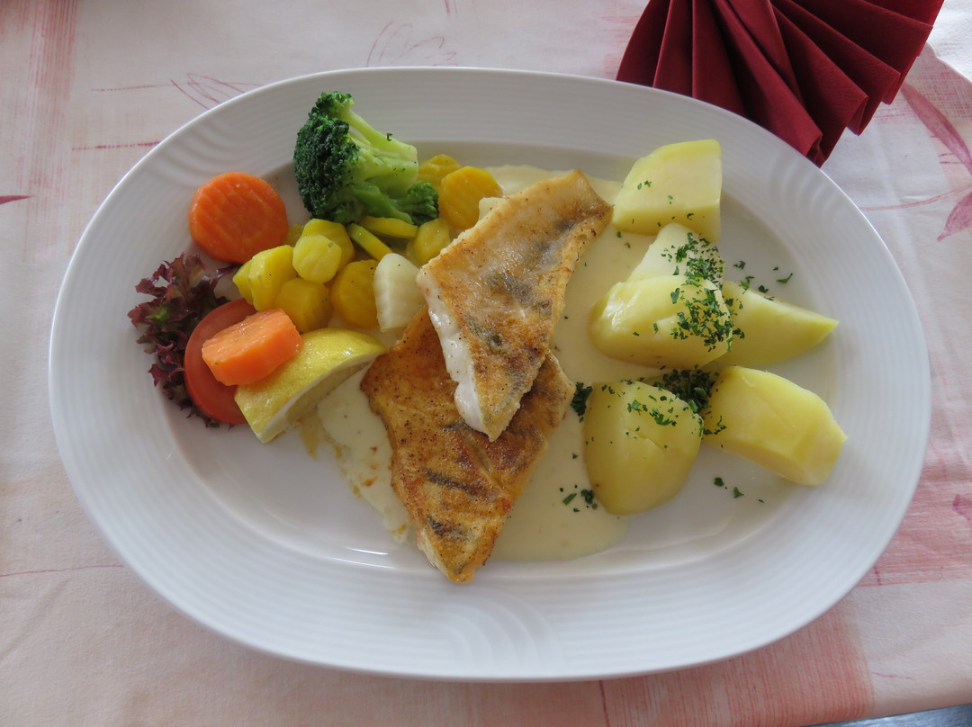 Hotel-Gasthof Goldener Lowe主图